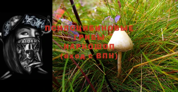 mix Пестово