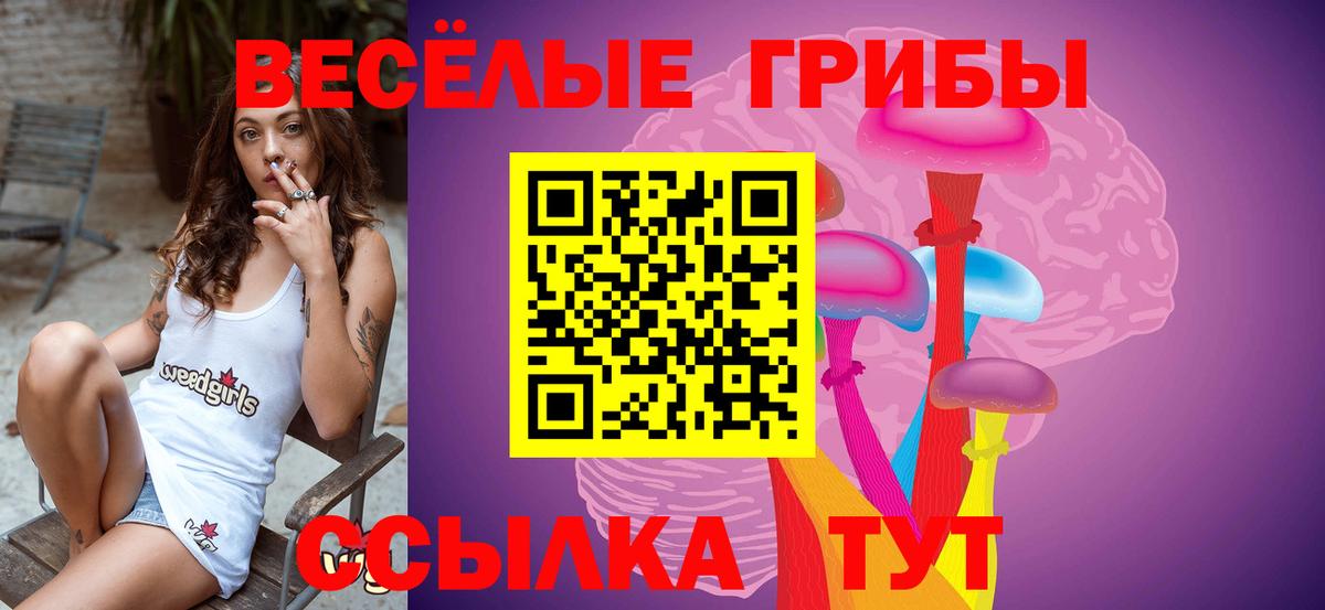 Галлюциногенные грибы Magic Shrooms  Галлюциногенные грибы Magic Shrooms  Вход с VPN  Саранск 